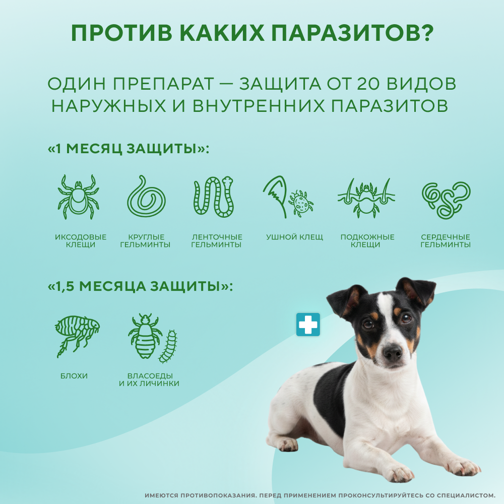 Капли для собак INSPECTOR Quadro от внешних и внутренних паразитов (от 4 до 10кг)
