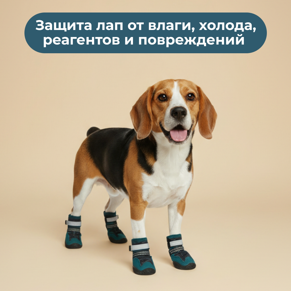 Ботинки для собак FOXIE Thunder L 6,4х4,5см синие