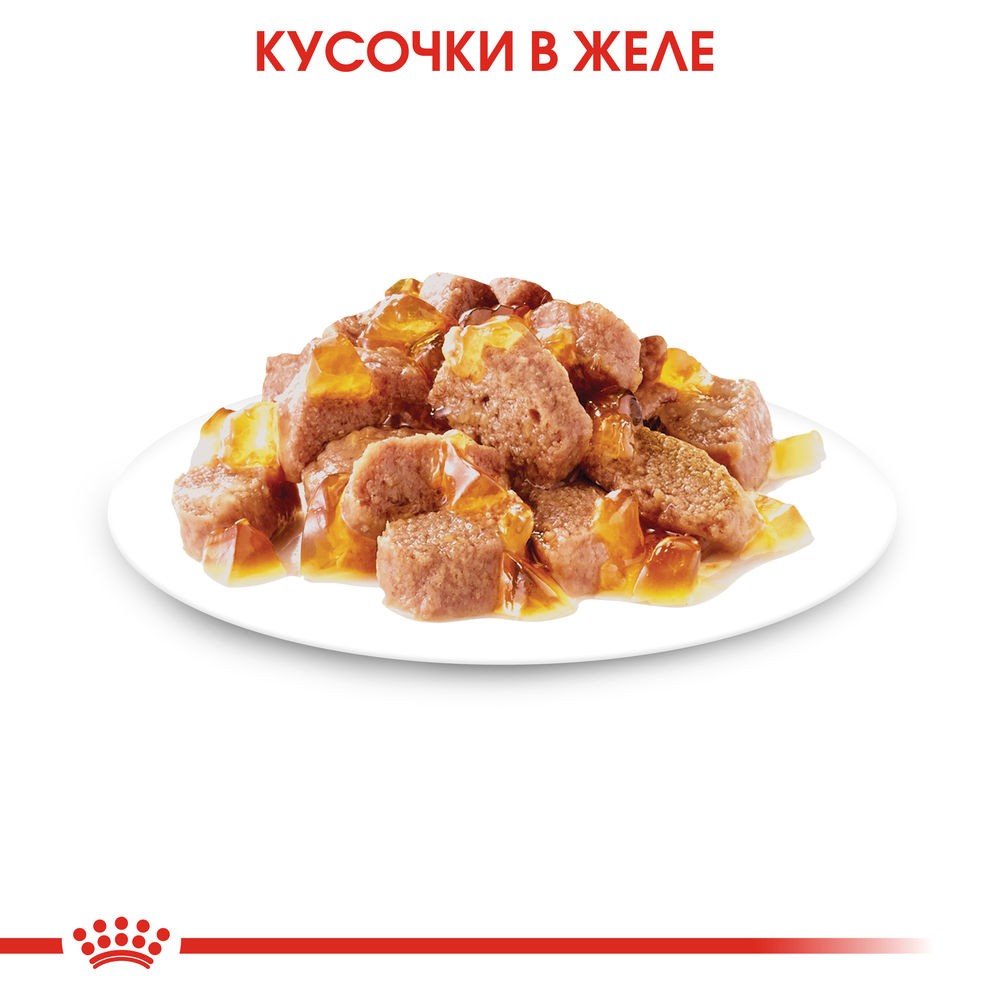 Корм для кошек ROYAL CANIN Instinctive мясо в желе, пауч