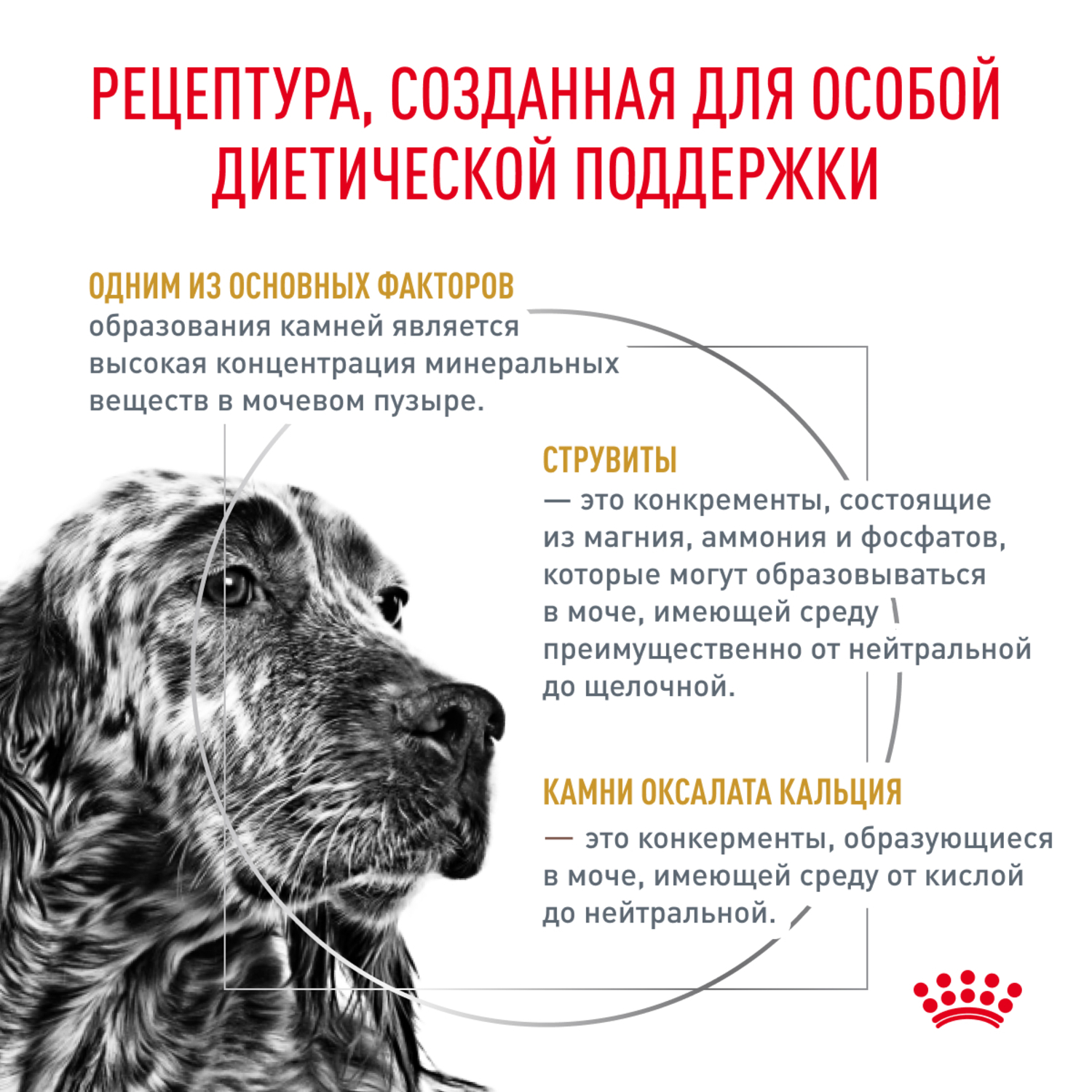 Корм для собак ROYAL CANIN Urinary S/O LP 18 при мочекаменной болезни сух.