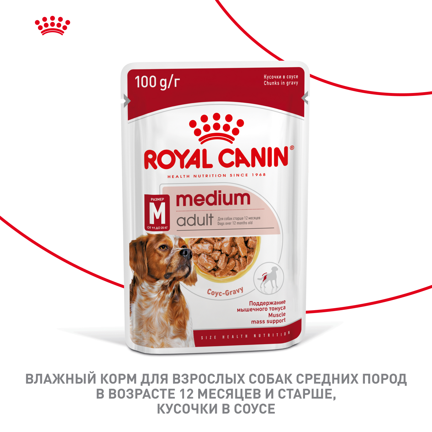 Корм для собак ROYAL CANIN Medium для средних пород, кусочки в соусе пауч
