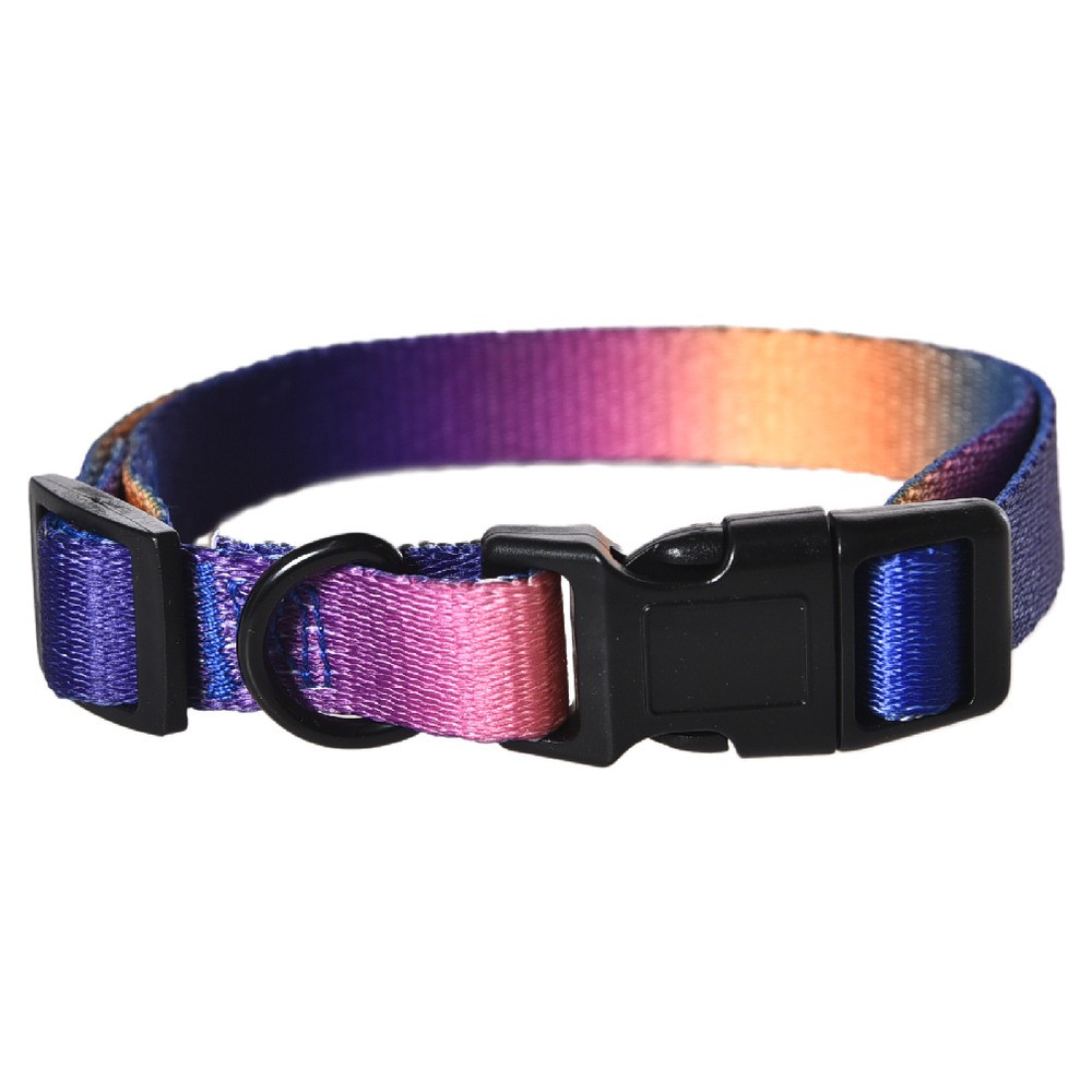 Ошейник для собак FOXIE Sunset M 2,0х35-50см разноцветный