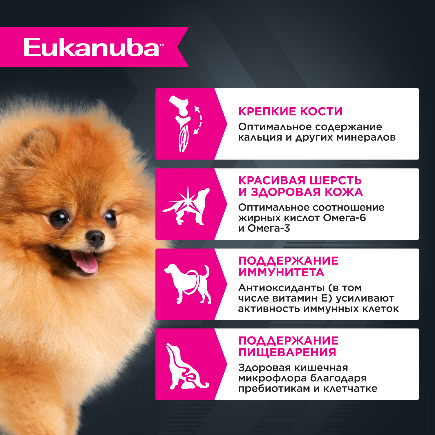 Корм для собак EUKANUBA говядина в соусе пауч