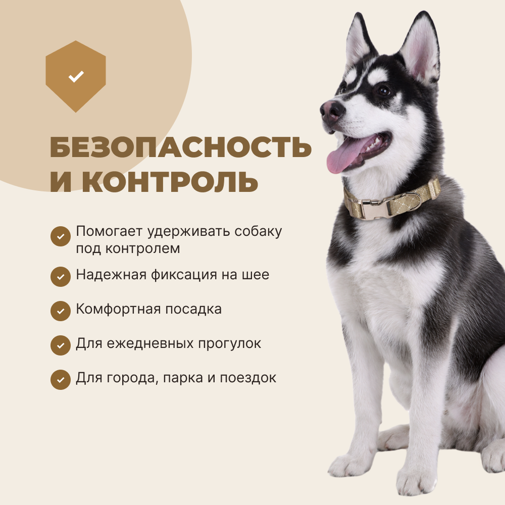 Ошейник для собак FOXIE Beige M 1,9х35-50см бежевый