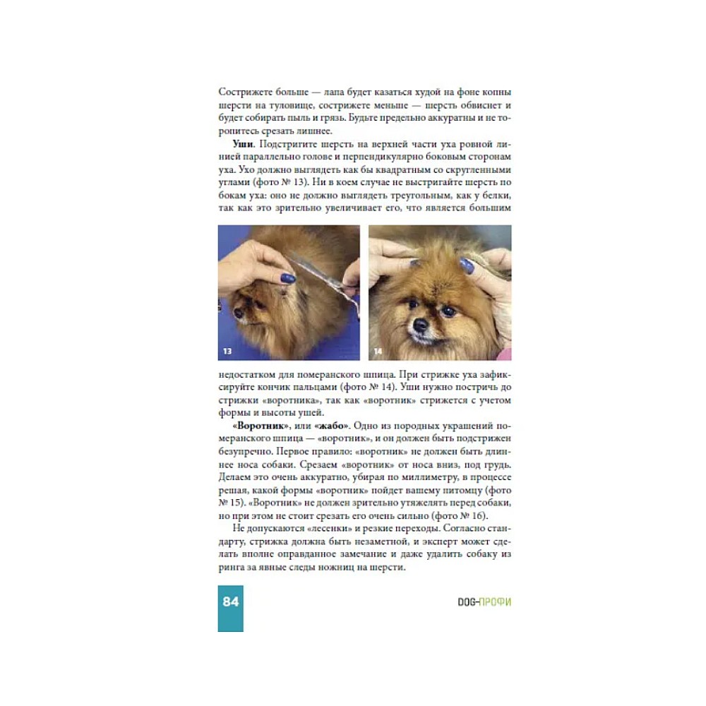 Книга DOG-ПРОФИ "Померанский шпиц" Н. Ришина