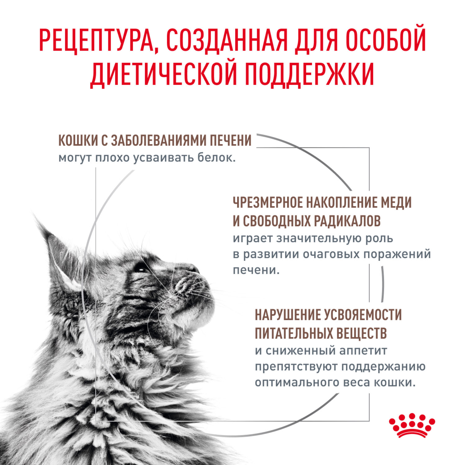 Корм для кошек ROYAL CANIN Vet Diet Hepatic HF26 при заболеваниях печени, свинина сух.