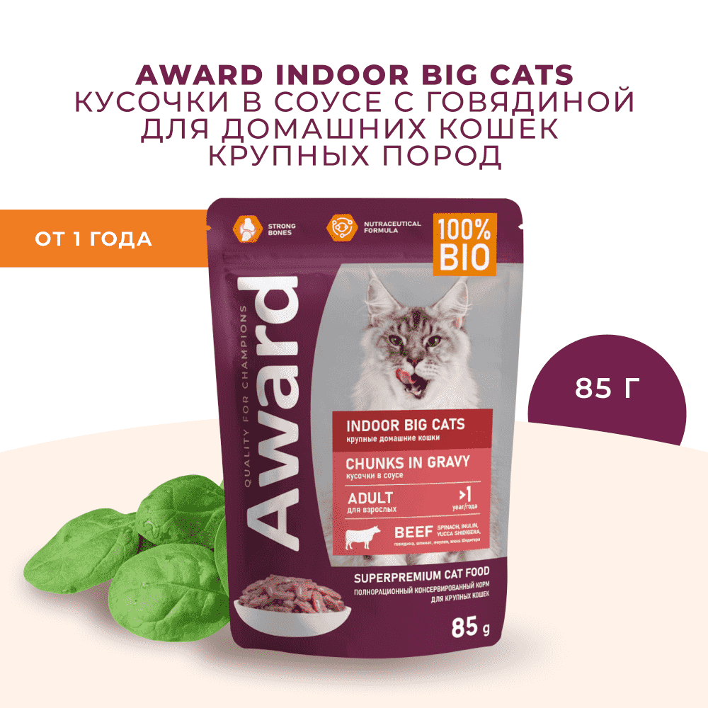 Корм для кошек AWARD Indoor big cats для домашних крупн.пород, кусочки в соусе с говядиной пауч