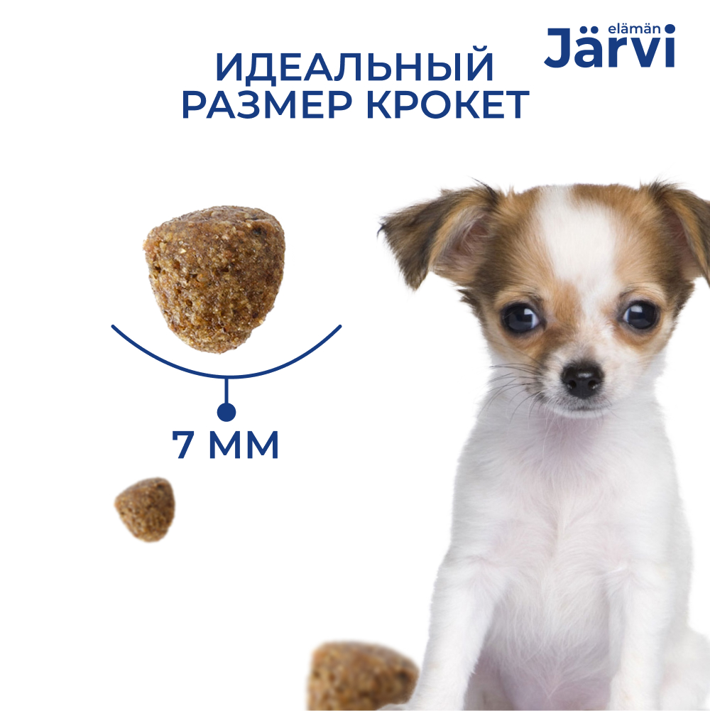 Корм для щенков JARVI для мелких пород, ягненок сух.