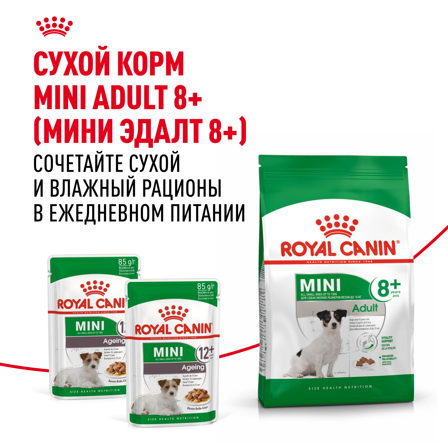 Корм для собак ROYAL CANIN Mini Ageing 12+ для стареющих, мелких пород пауч