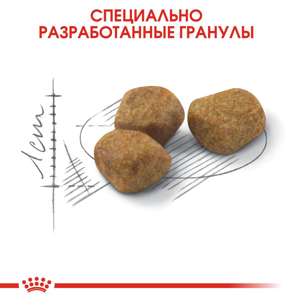 Корм для кошек ROYAL CANIN Indoor 7+ сбалансированный для стареющих живущих в помещении сух.