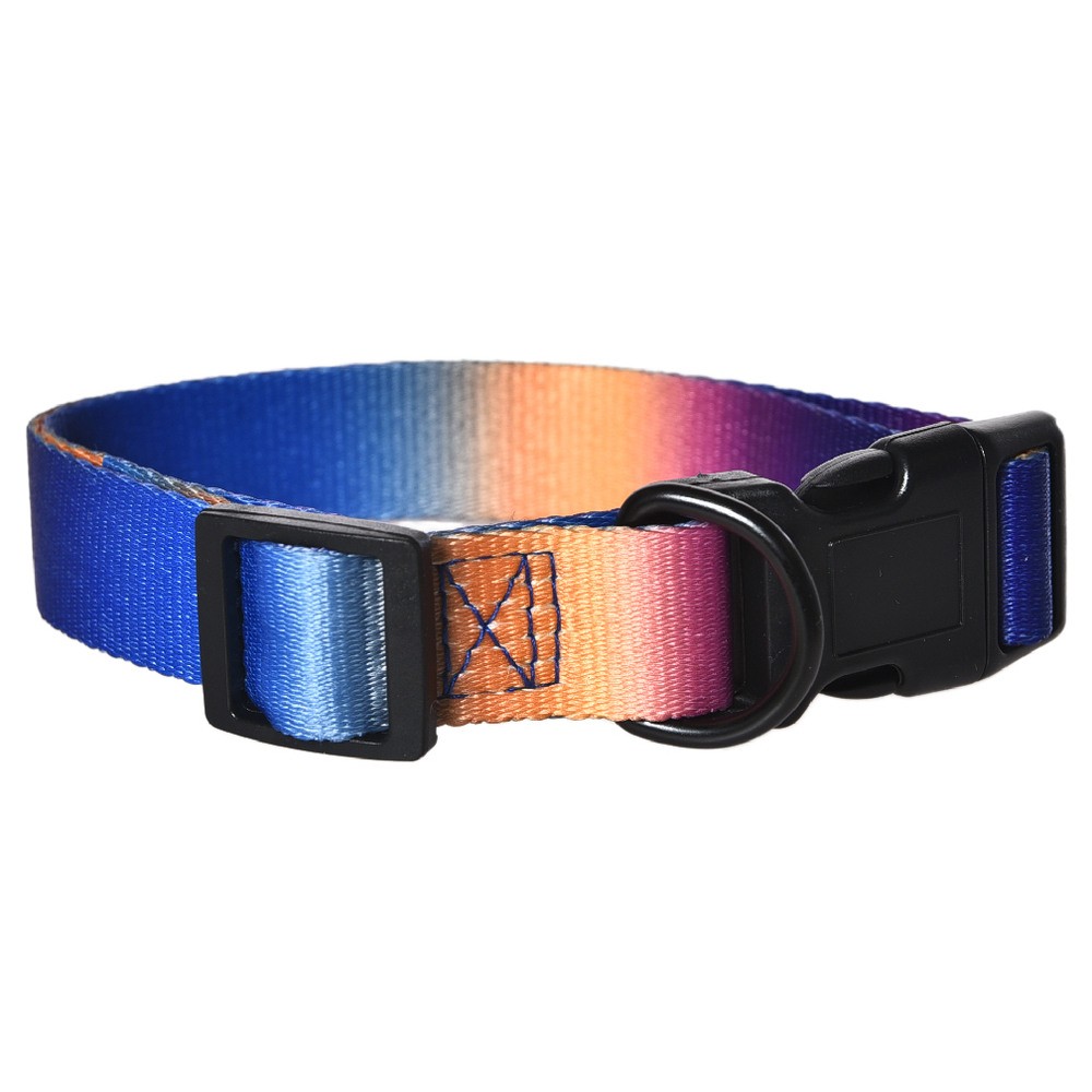 Ошейник для собак FOXIE Sunset S 1,5х30-45см разноцветный