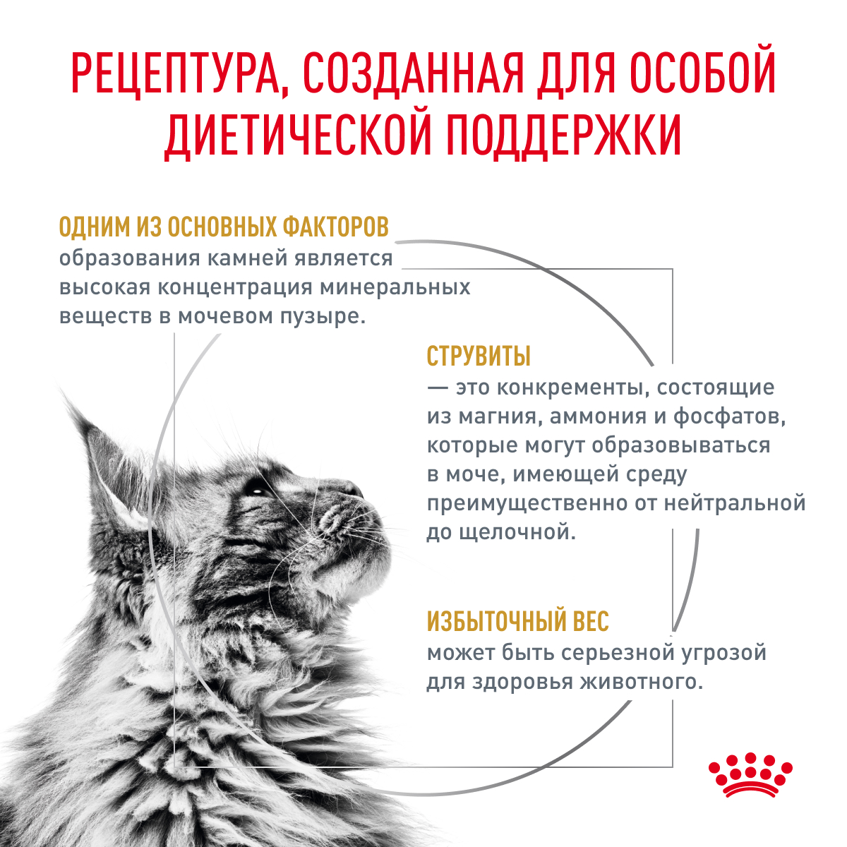 Корм для кошек ROYAL CANIN Urinary S/O Moderate Calorie для склонных к набору веса, при МКБ пауч