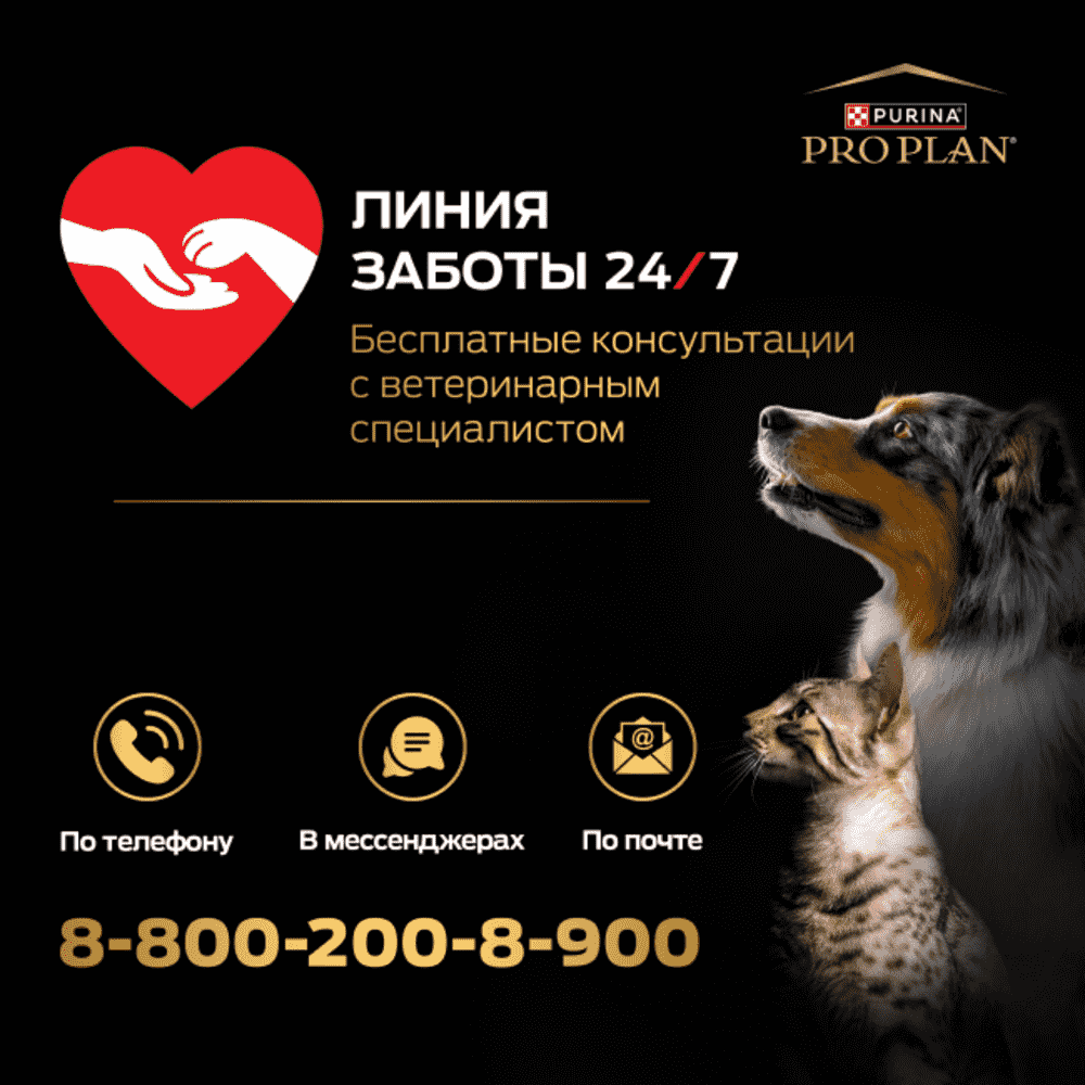 Корм для кошек PRO PLAN Derma Care для здоровья кожи и шерсти, с треской в соусе пауч