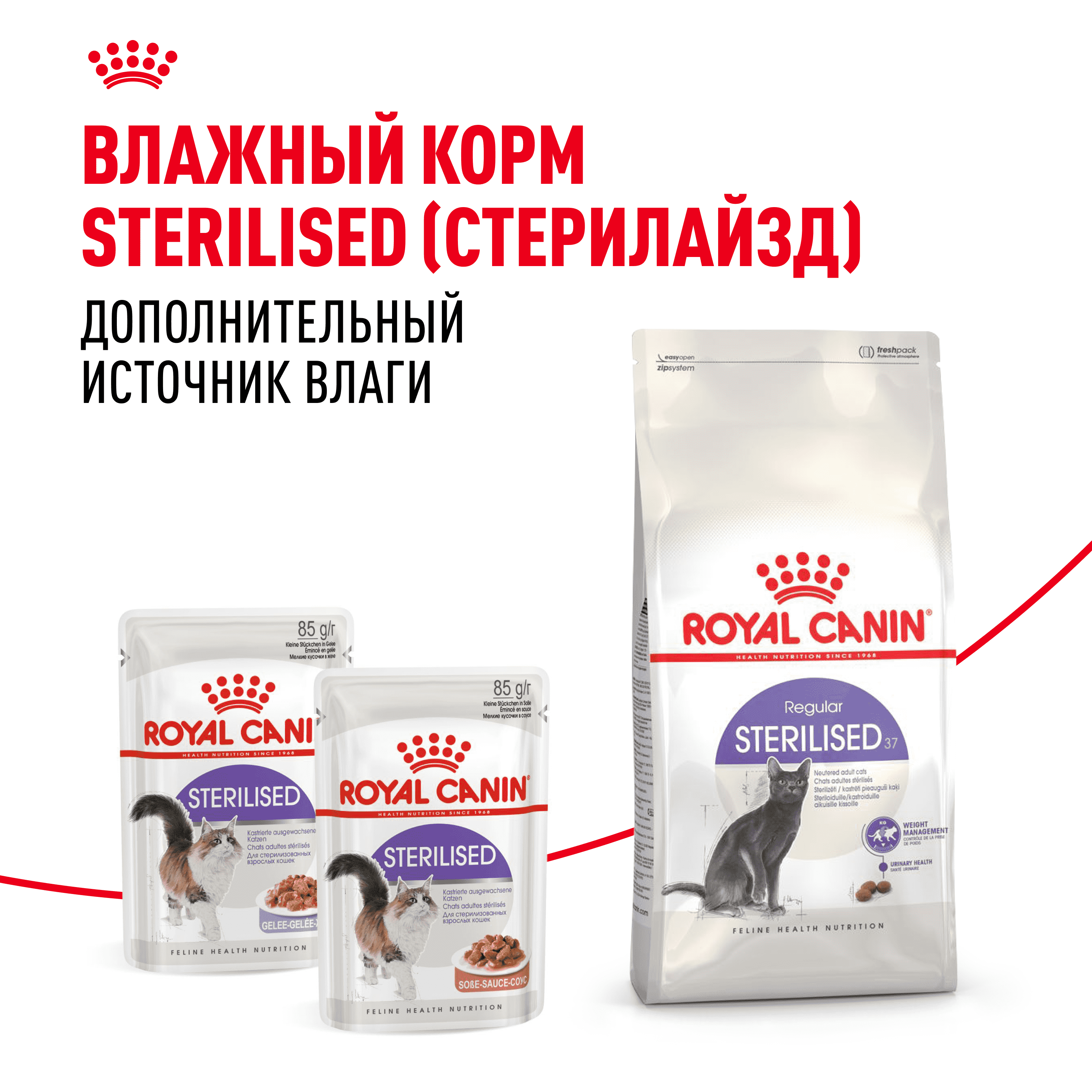 Корм для кошек ROYAL CANIN Sterilised 37 сбалансированный для стерилизованных сух.