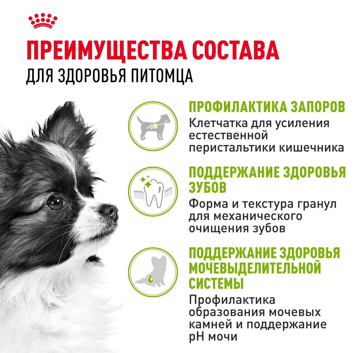 Корм для собак ROYAL CANIN Size X-Small Adult для миниатюрных пород от 10 месяцев до 8 лет сух.