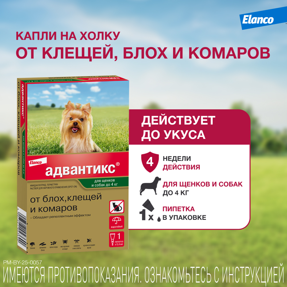 Капли для собак ELANCO Адвантикс от блох, клещей и комаров 40 (до 4кг веса) 1 пипетка в упак.