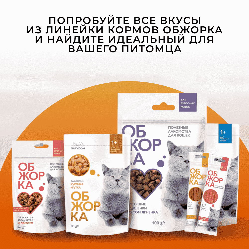 Корм для кошек ОБЖОРКА кусочки в желе с курицей пауч