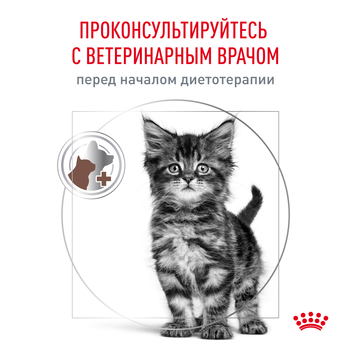 Корм для котят от 2 до 10 месяцев ROYAL CANIN Gastrointestinal Kitten при наруш.пищеварения сух.
