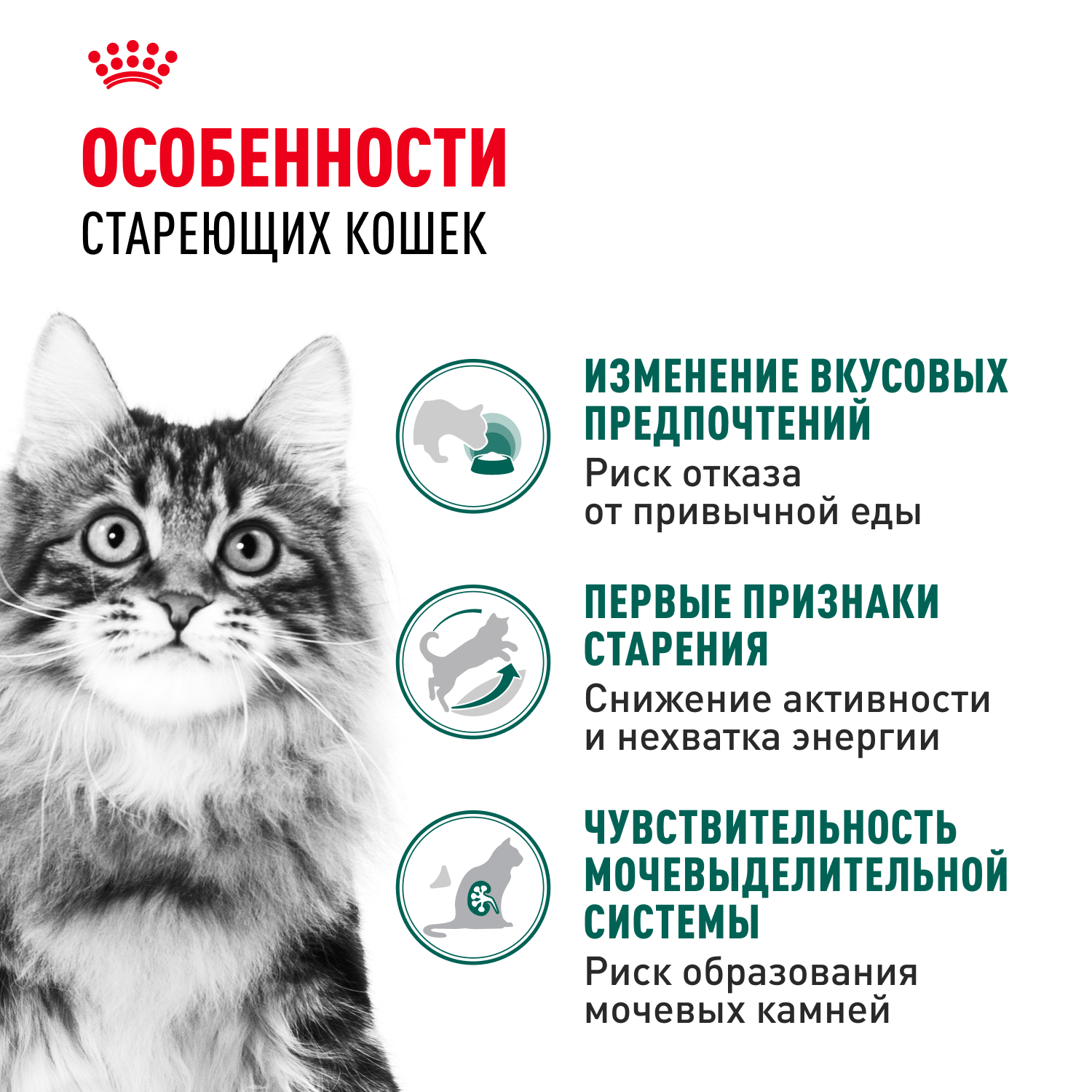 Корм для кошек ROYAL CANIN Instinctive 7+ старше 7 лет конс.