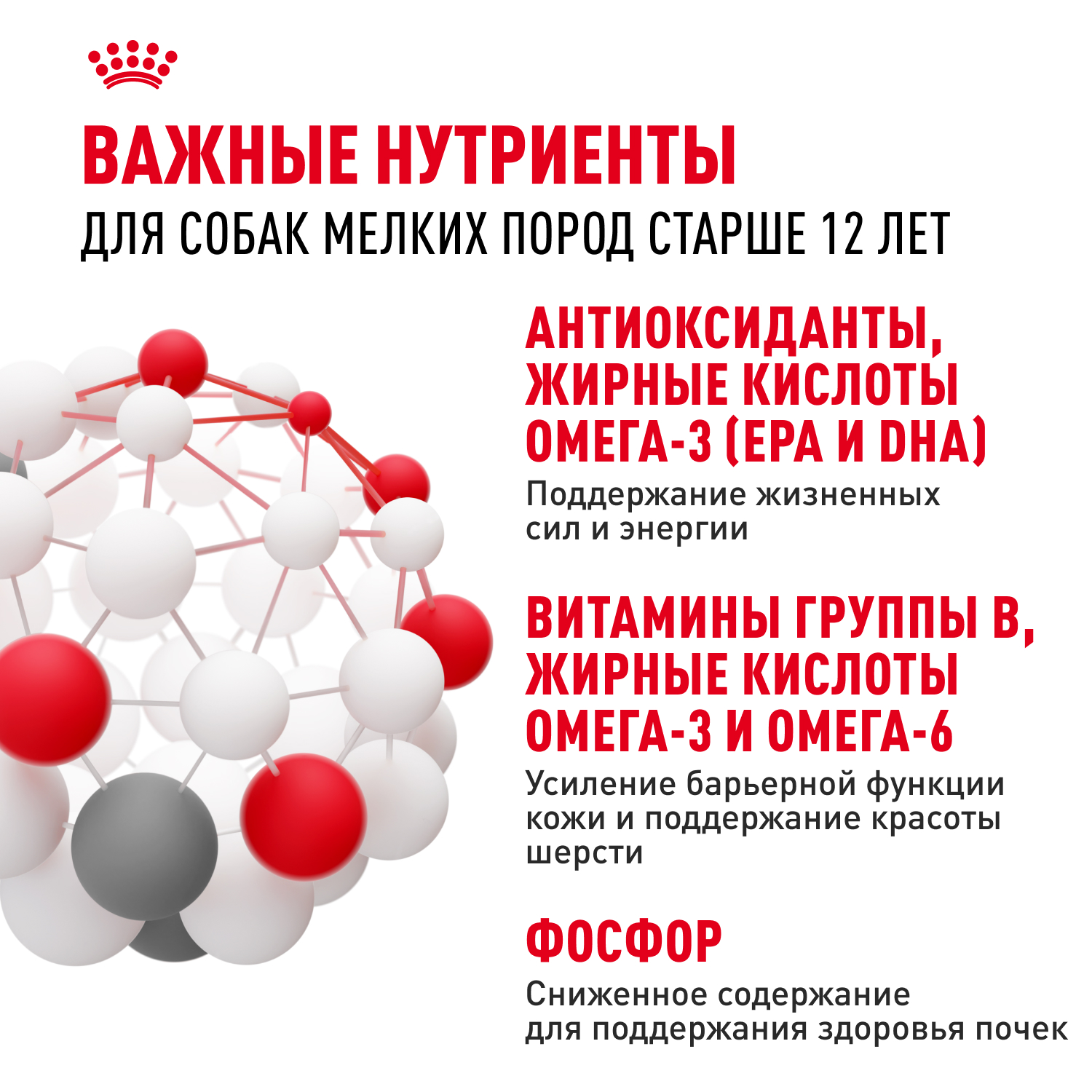 Корм для собак ROYAL CANIN Mini Ageing 12+ для стареющих, мелких пород пауч
