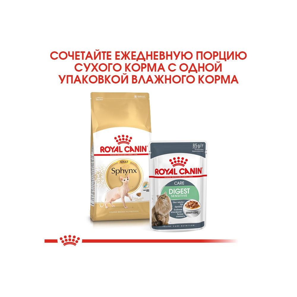 Корм для кошек ROYAL CANIN Sphynx сбалансированный для породы Сфинкс сух.