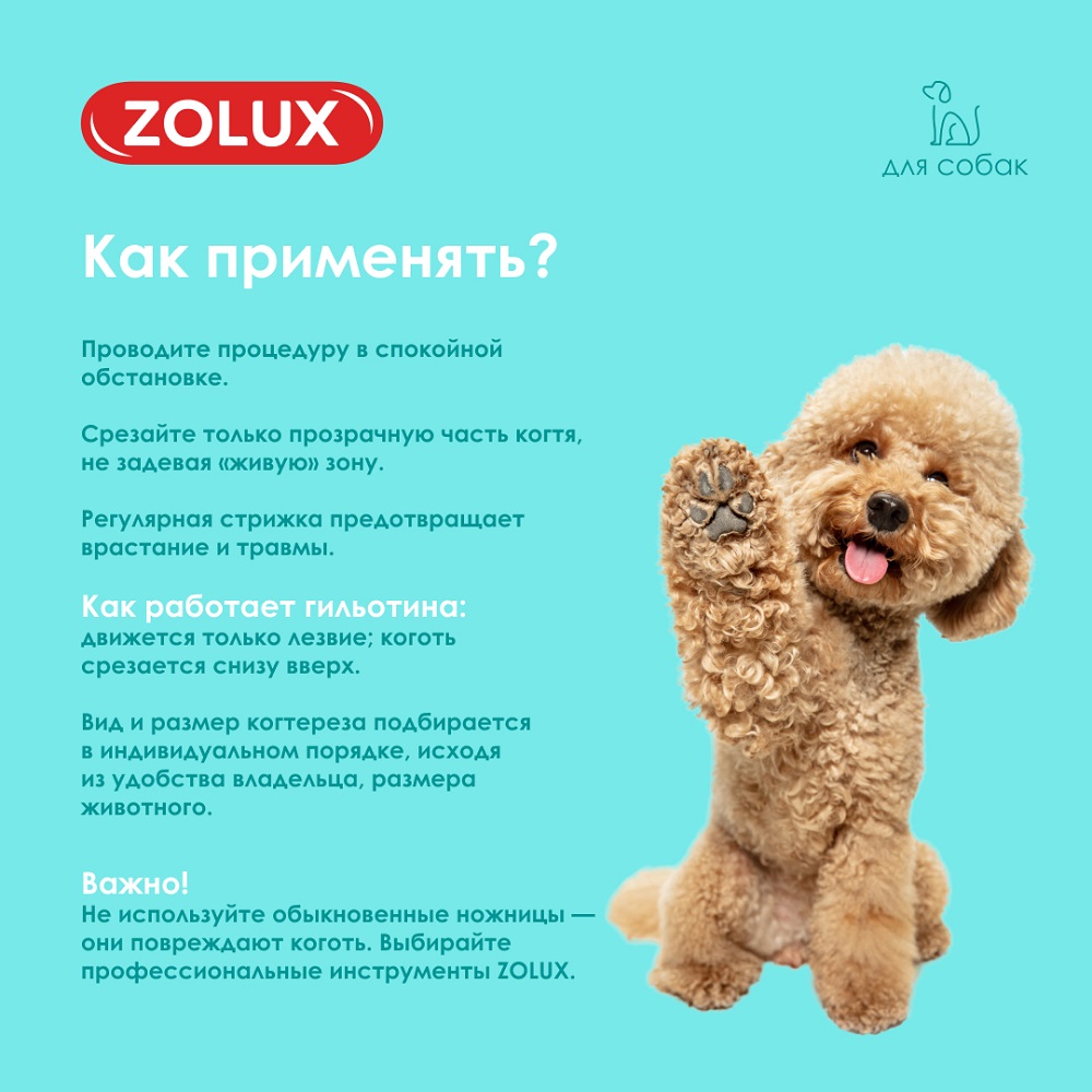 Когтерез-гильотина для собак ZOLUX для подрезания когтей, S