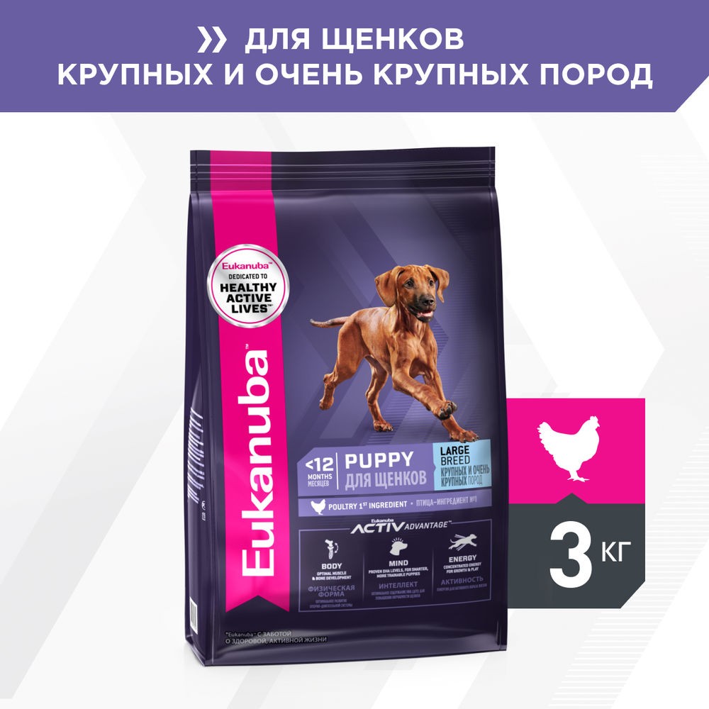 Корм для щенков EUKANUBA для крупных пород сух.
