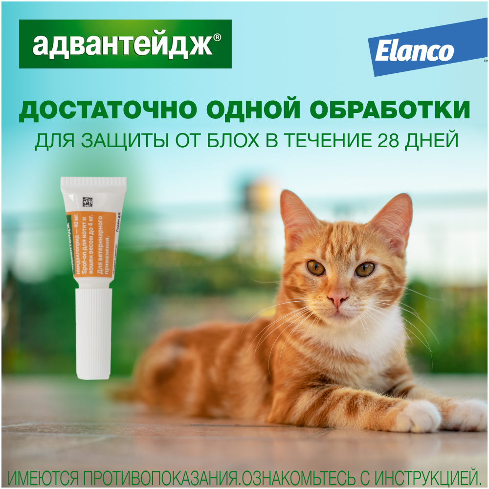 Капли для котят и кошек ELANCO Адвантейдж от блох  (до 4кг), 1 пипетка в упаковке 0,4мл