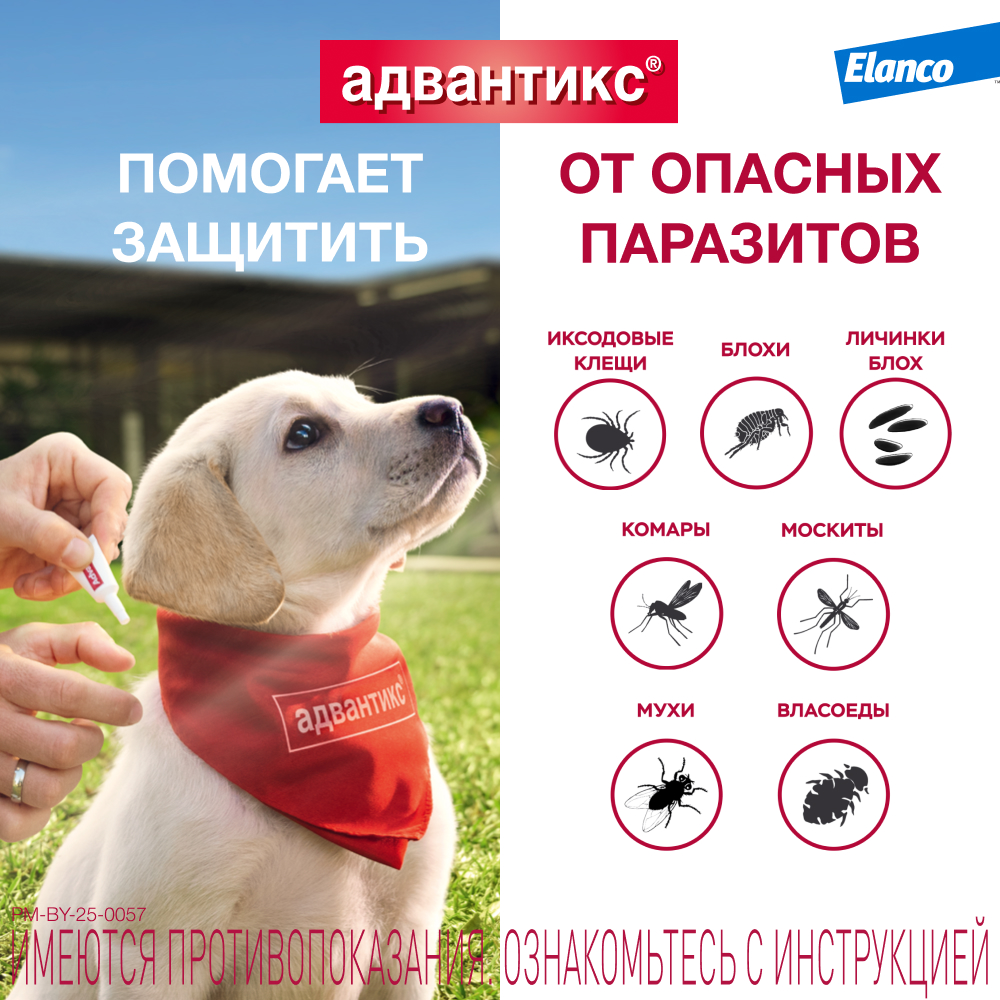 Капли для собак ELANCO Адвантикс от блох, клещей и комаров 40 (до 4кг веса) 1 пипетка в упак.