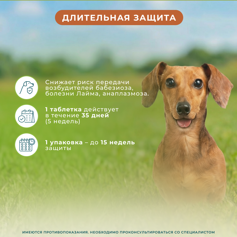 Таблетки для собак ZOETIS Симпарика от блох и клещей (5-10кг) 20мг, 3 таб на 105 дн.