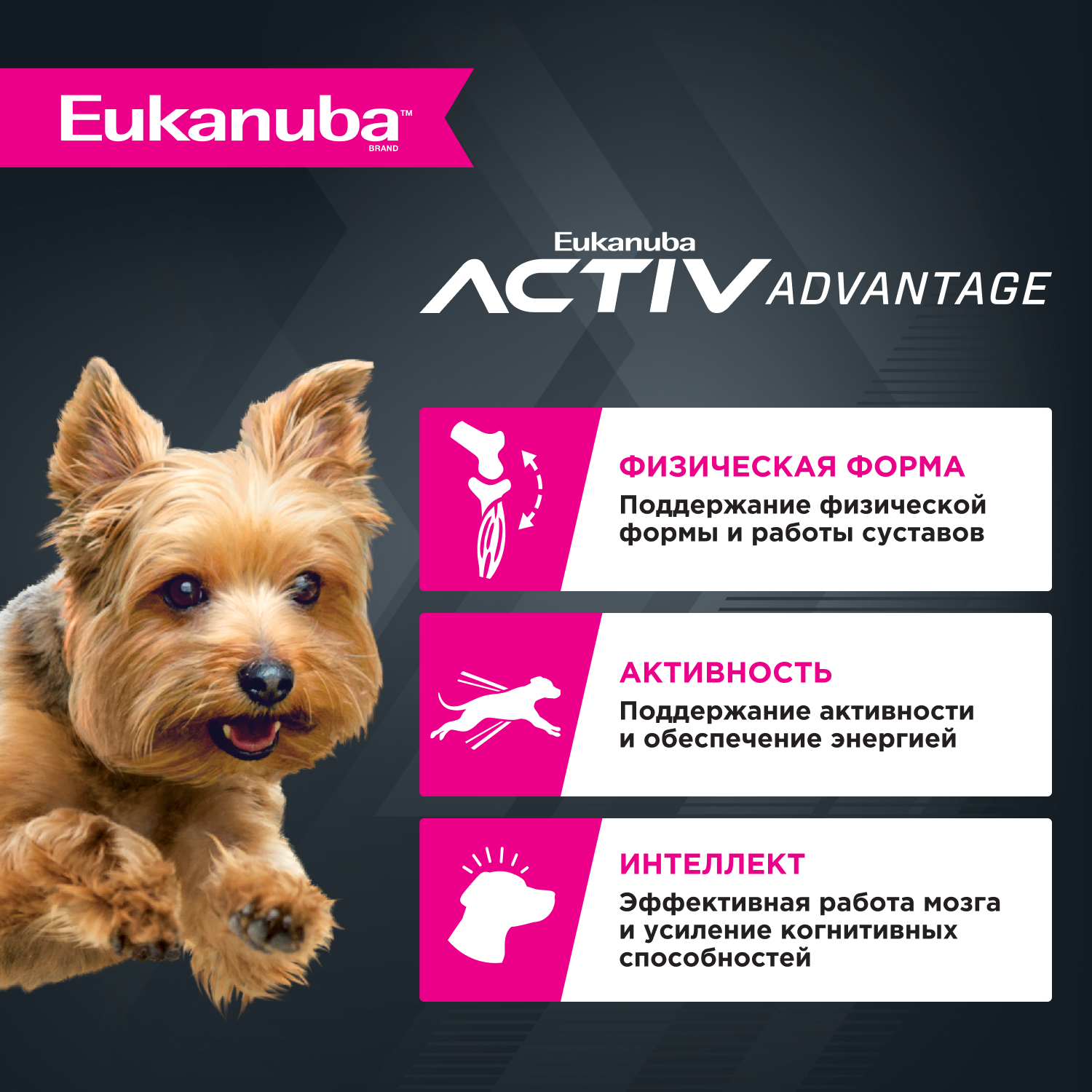 Корм для собак EUKANUBA Adult Toy Breed для миниатюрных пород сух.