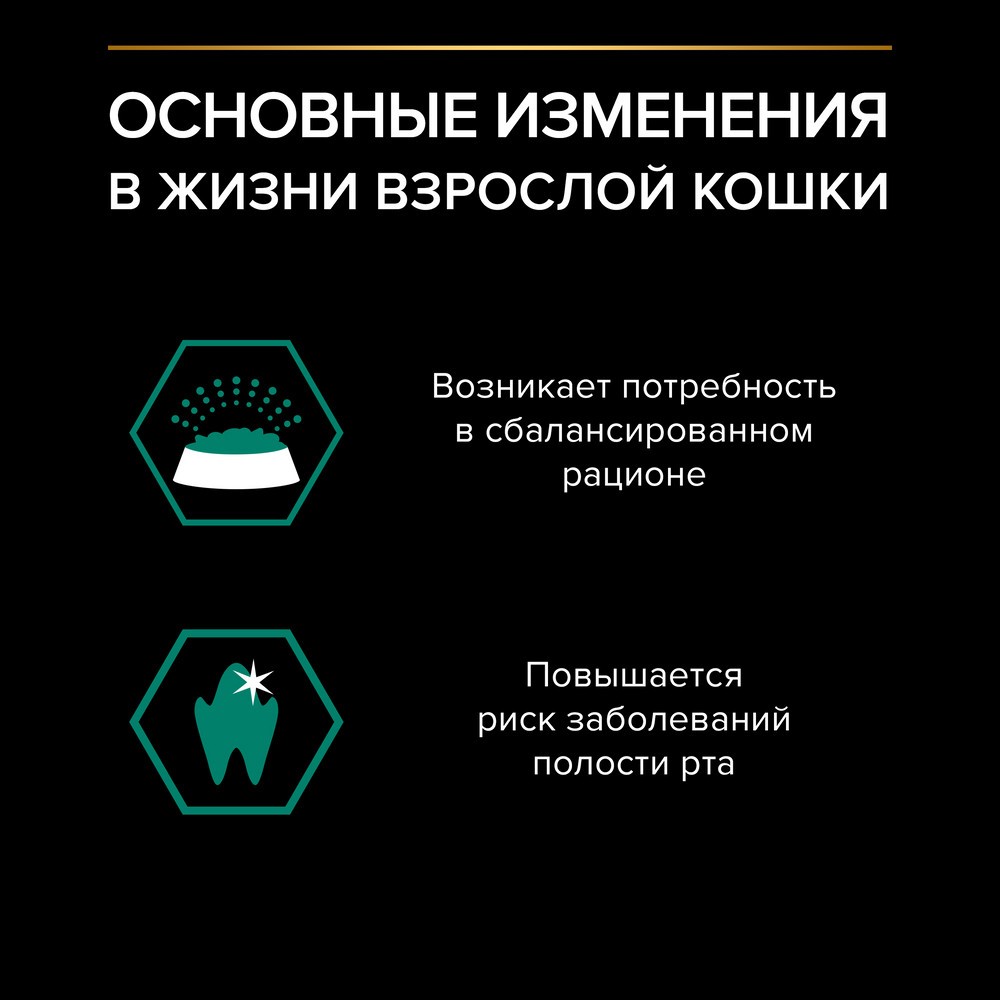 Корм для кошек PRO PLAN Maintenance с говядиной в соусе пауч
