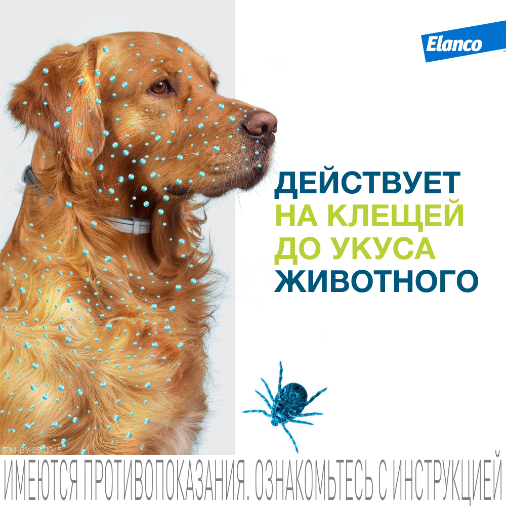 Ошейник для собак ELANCO Форесто до 8кг от клещей, блох и вшей, защита 8 месяцев 38см