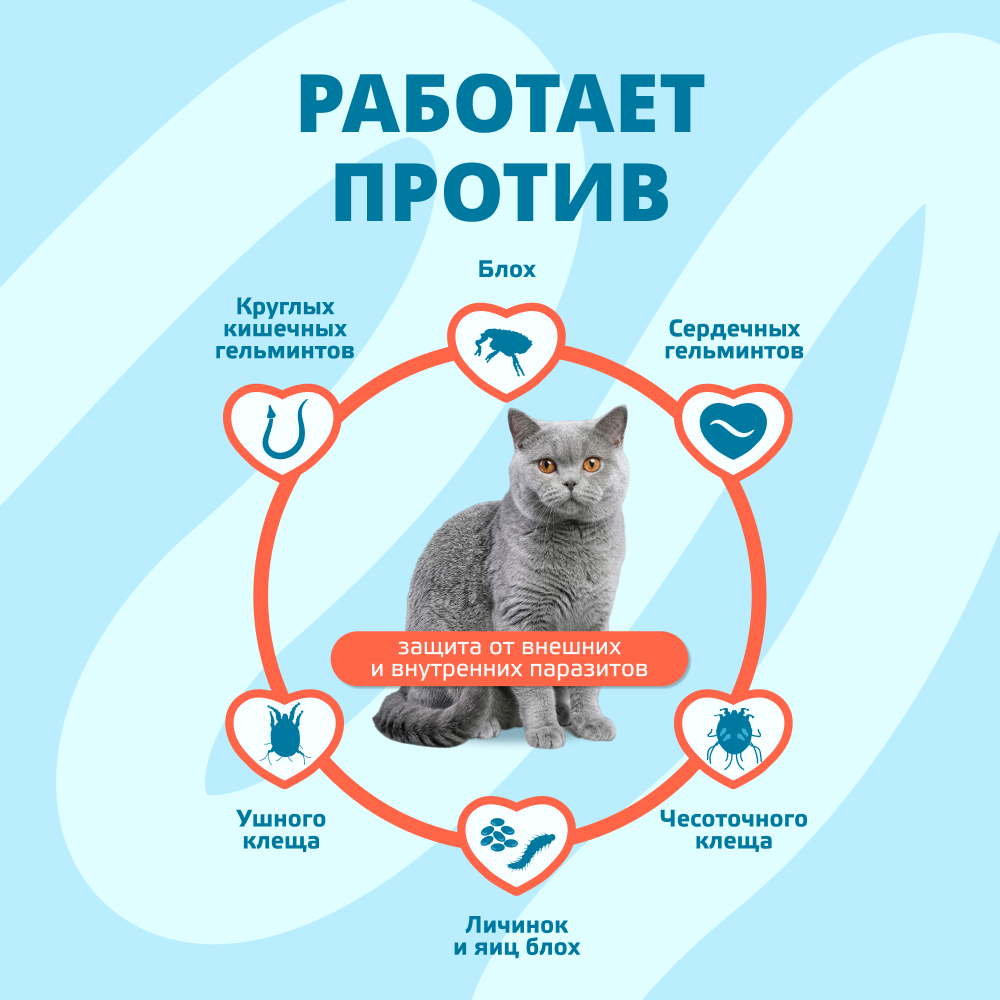 Капли для кошек KRKA Селафорт от ушн. и чесоточ.клещей, блох, гельм 2,6-7,5кг, 0,75мл (45мг), 1 уп