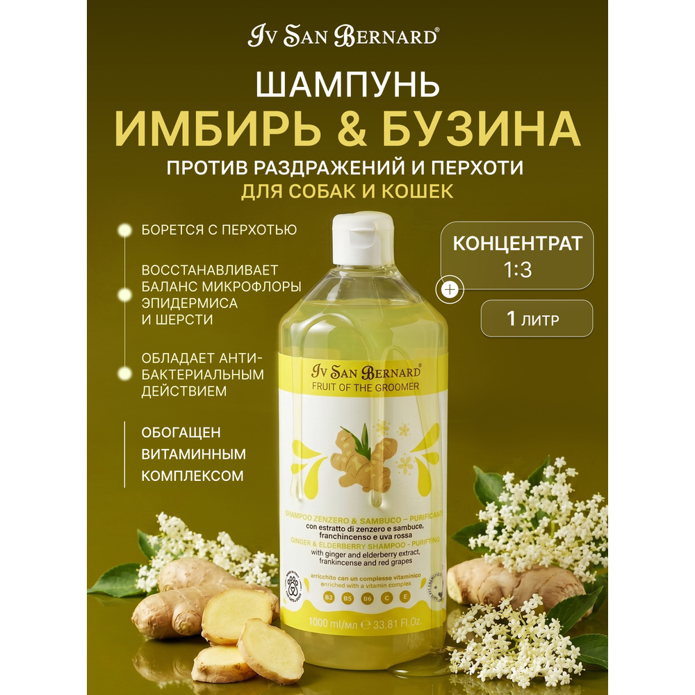 Шампунь IV SAN BERNARD Ginger&Elderbery с противовоспалительным эффектом 1л