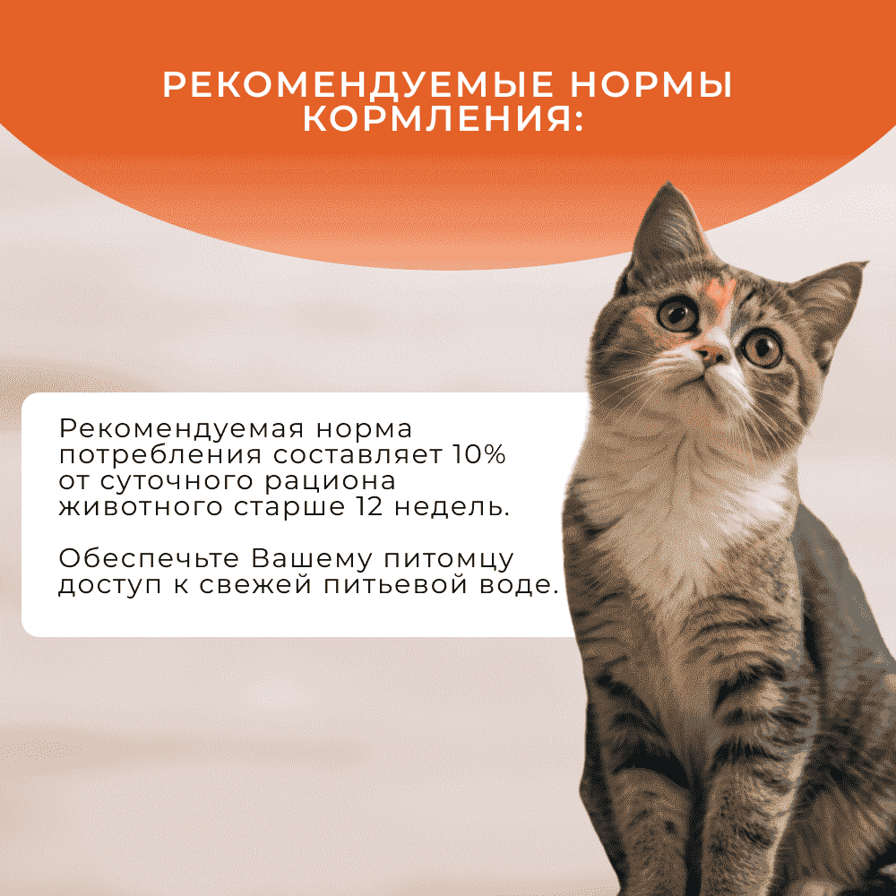 Лакомство для кошек ОБЖОРКА Хрустящие подушечки с мясом индейки для здоровья сердца