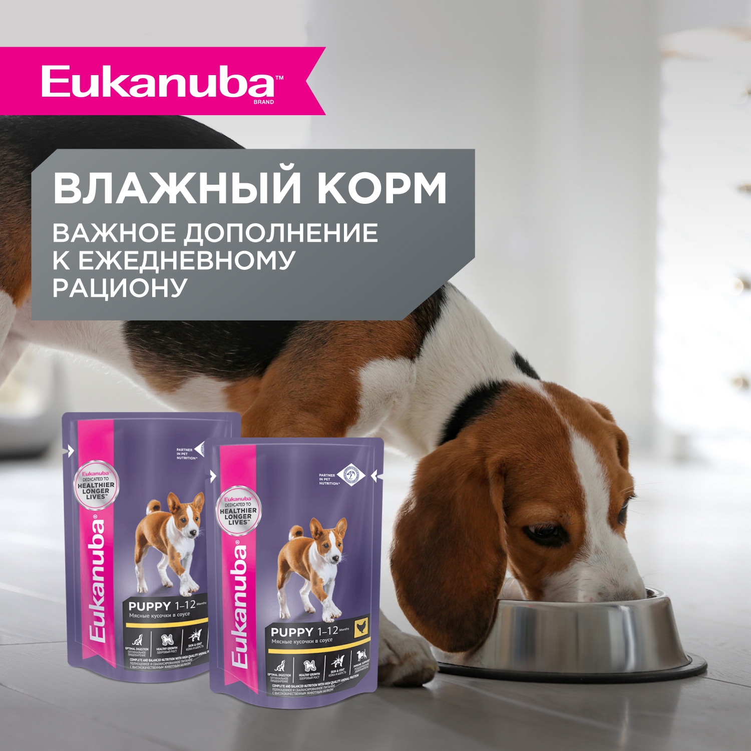 Корм для щенков EUKANUBA Puppy Small Breed для мелких пород сух.